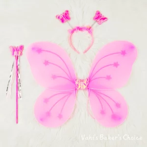 Butterfly Wings 20"*14"
