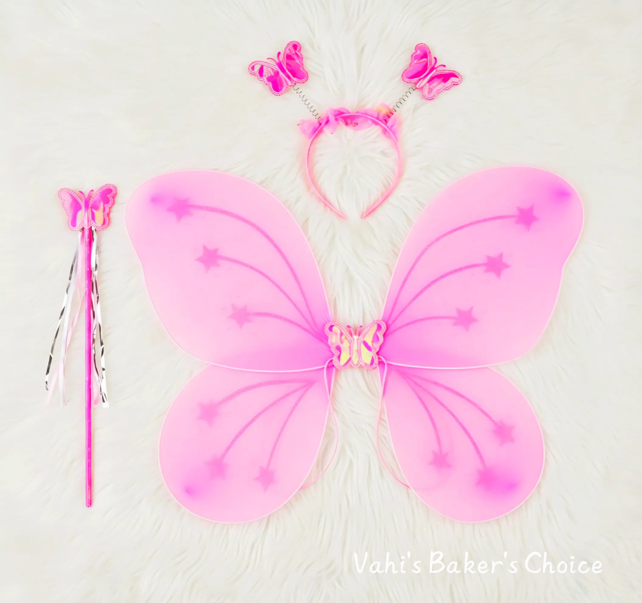 Butterfly Wings 20"*14"