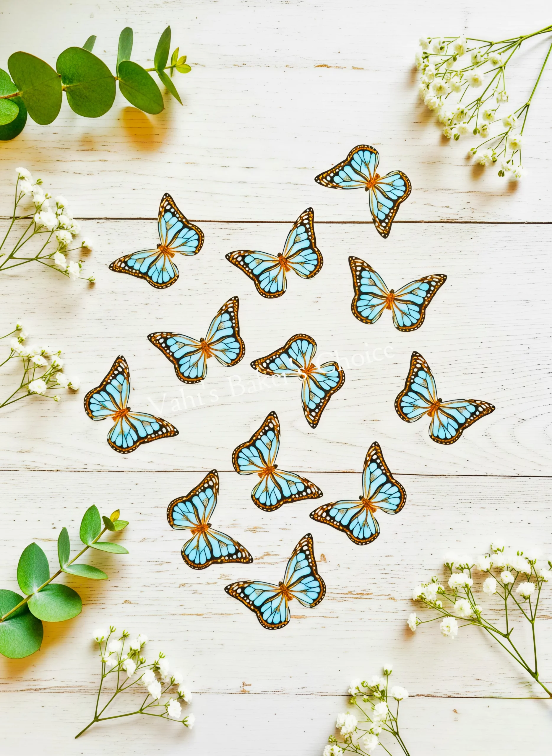 Top Paper Butterfly D1 Multi Size