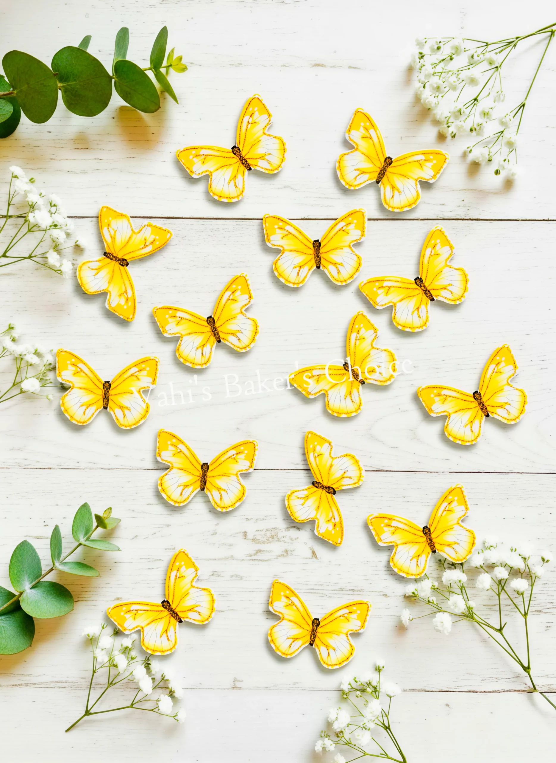 Top Paper Butterfly D10 Multi Size