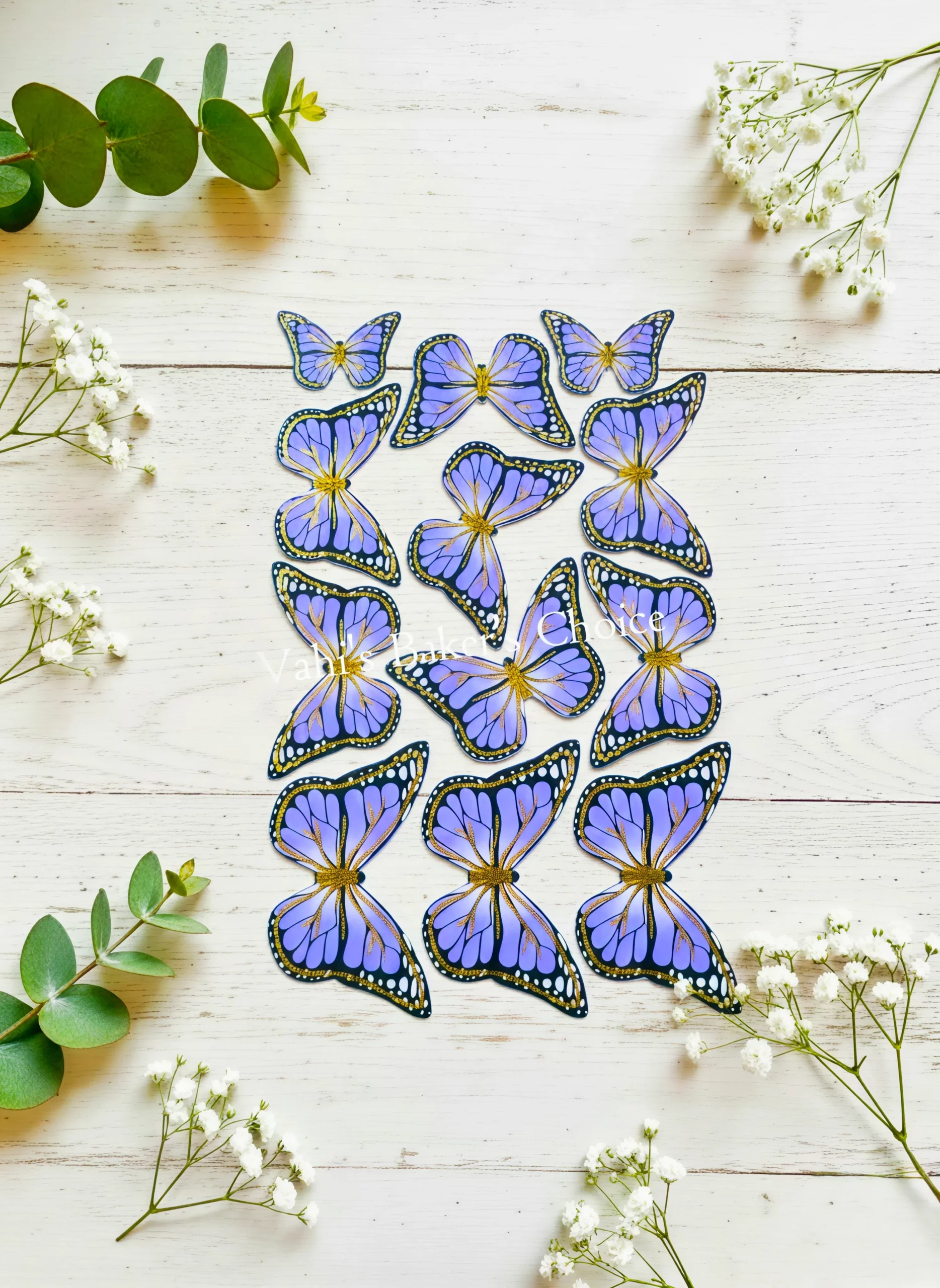 Top Paper Butterfly D12 Multi Size