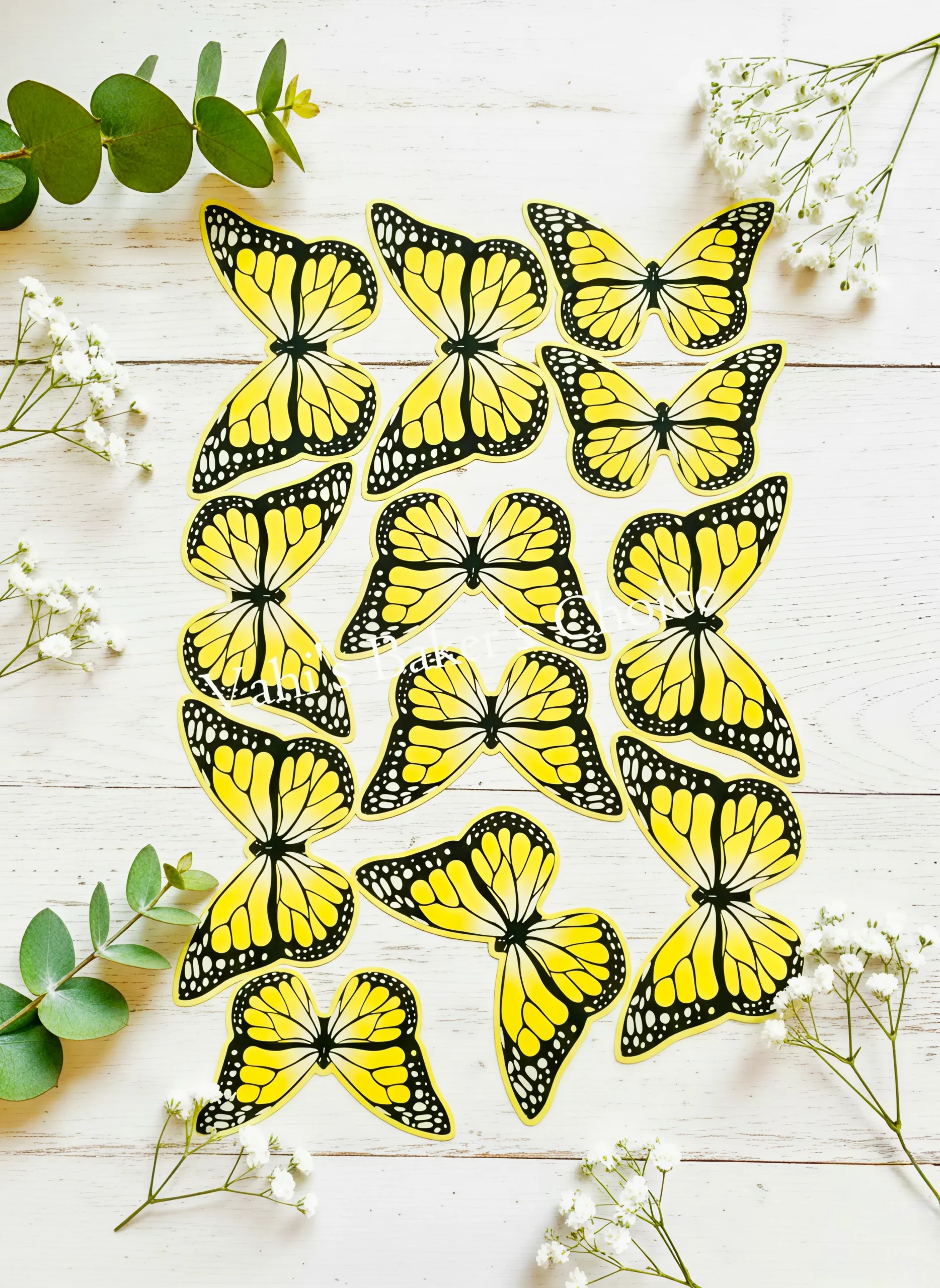 Top Paper Butterfly D13 Multi Size