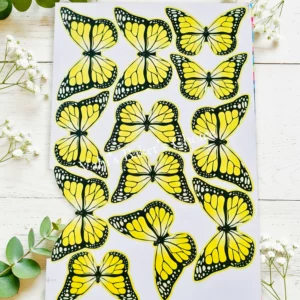 Top Paper Butterfly D13 Multi Size
