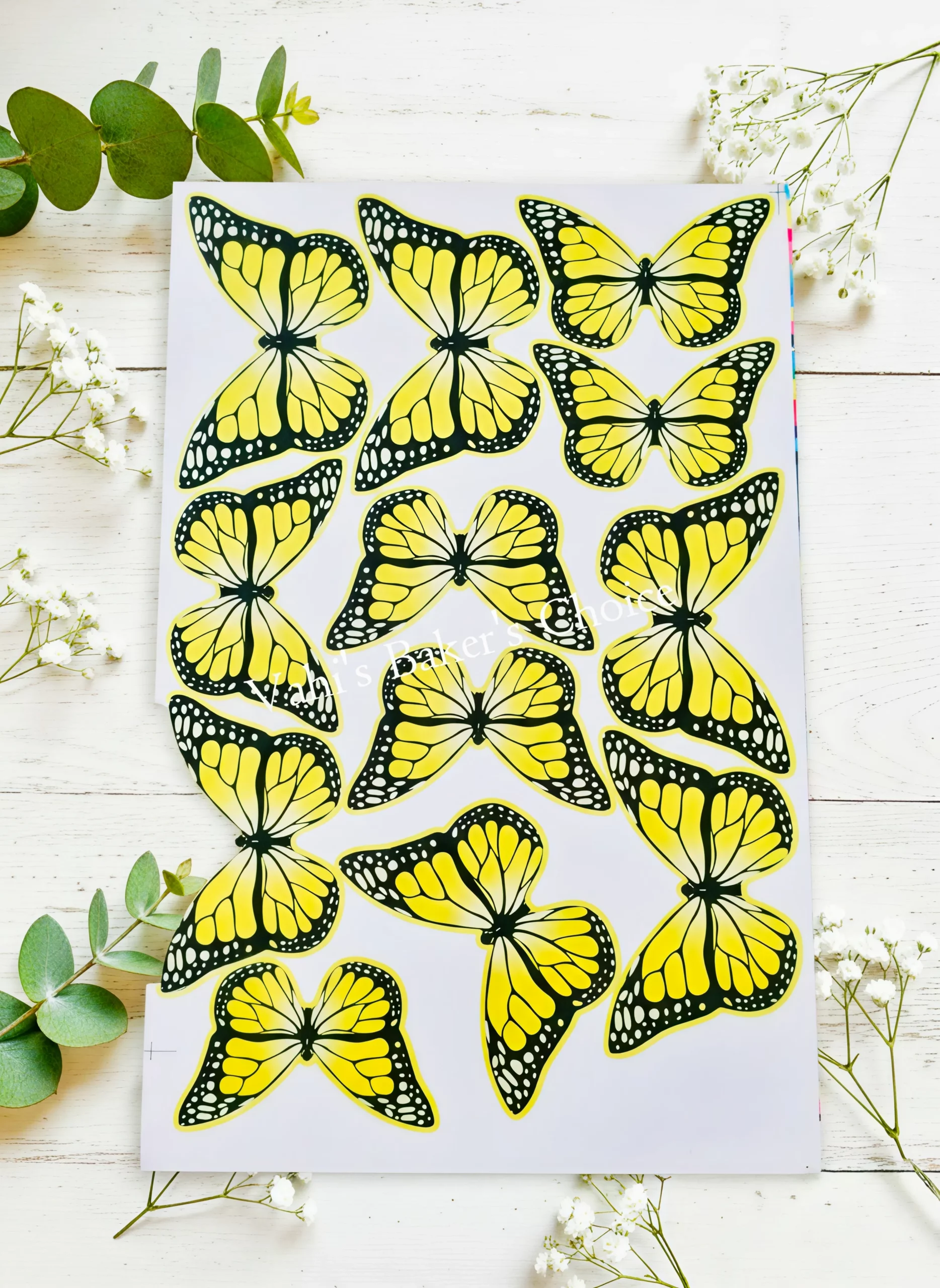 Top Paper Butterfly D13 Multi Size