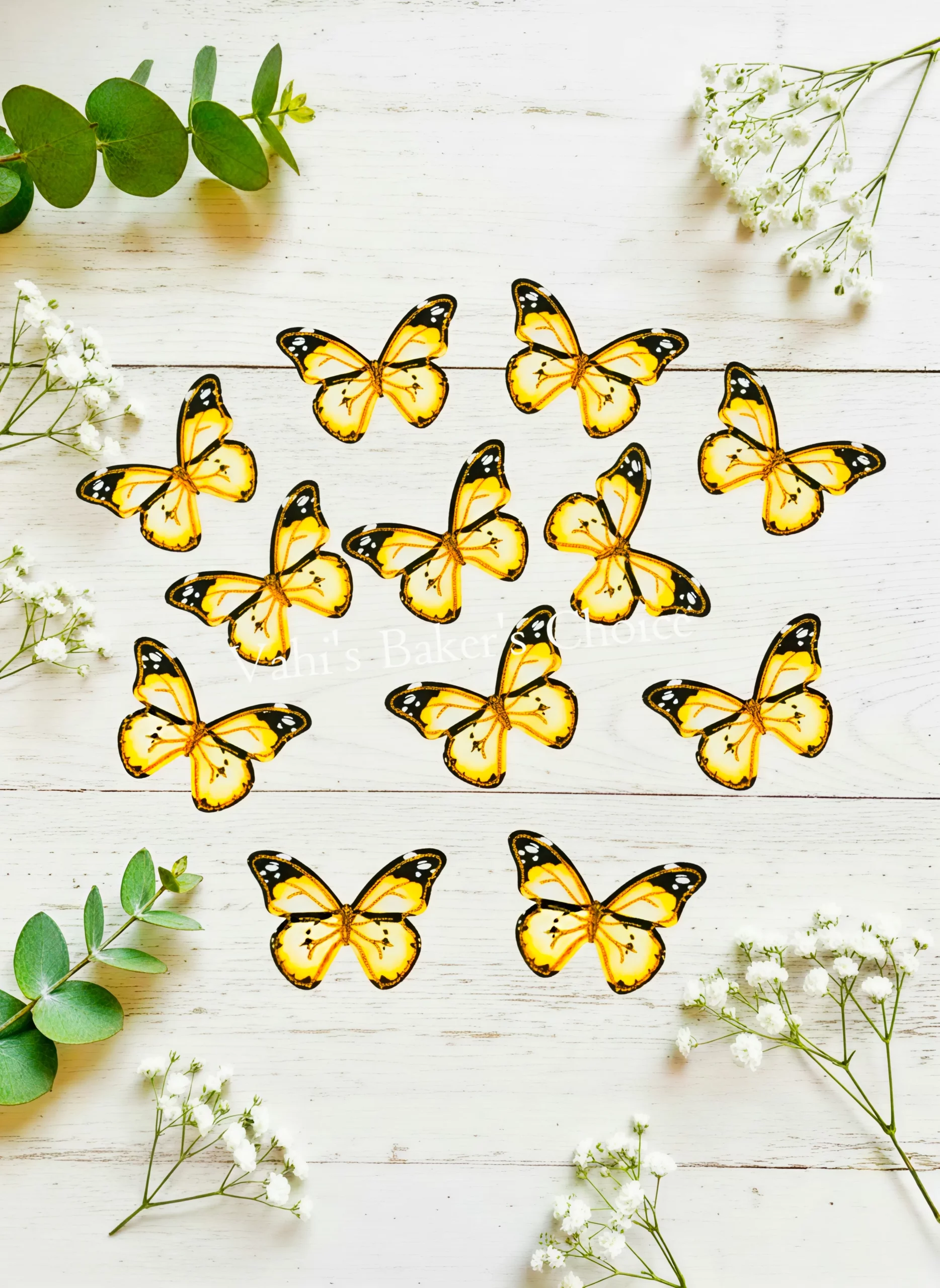 Top Paper Butterfly D16 Multi Size