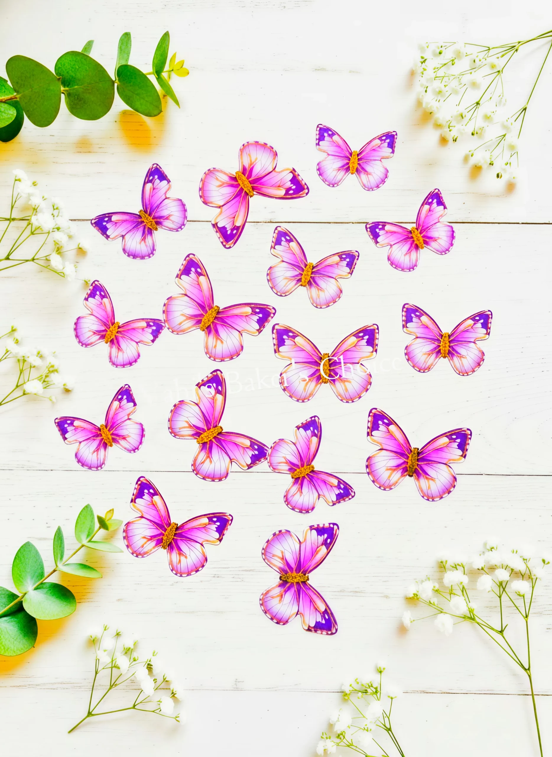 Top Paper Butterfly D17 Multi Size