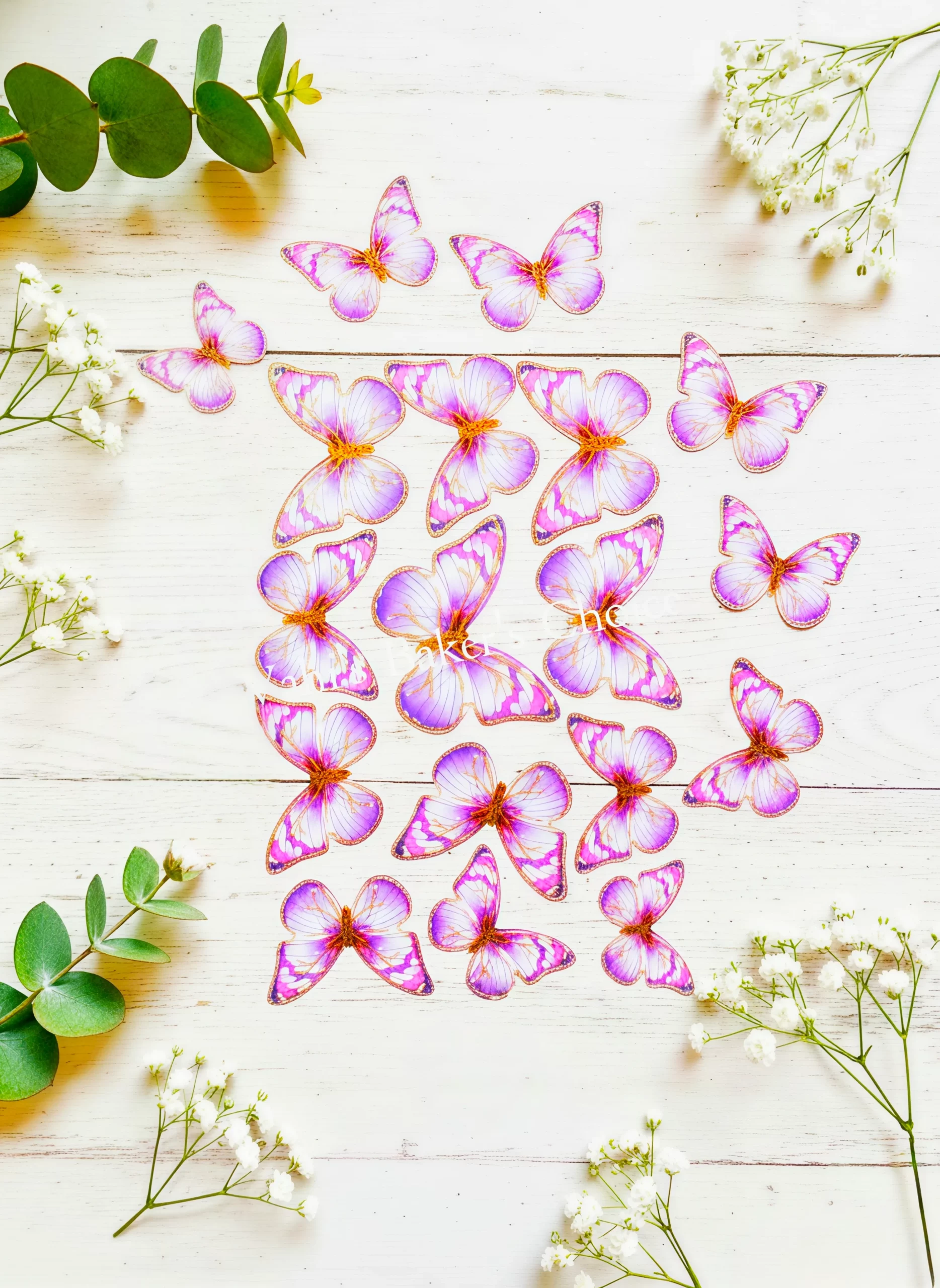 Top Paper Butterfly D2 Multi Size