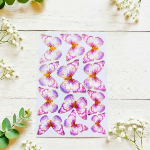 Top Paper Butterfly D2 Multi Size
