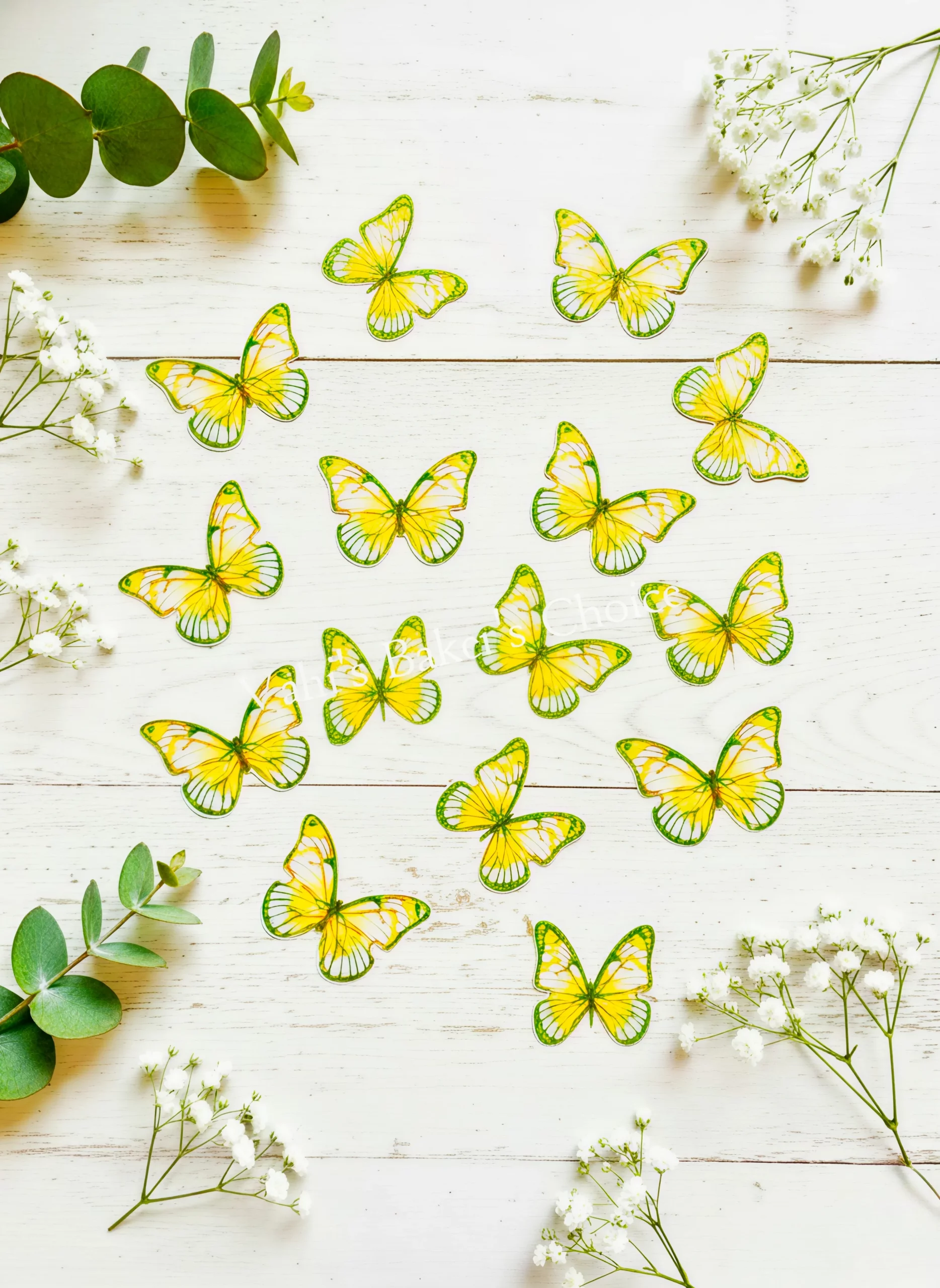 Top Paper Butterfly D3 Multi Size