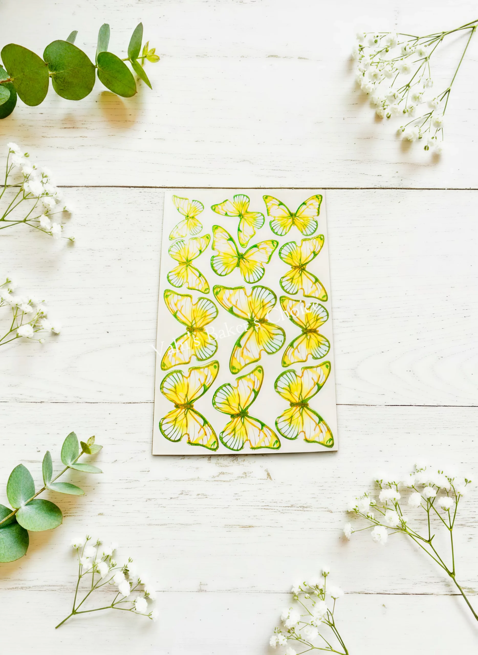 Top Paper Butterfly D3 Multi Size