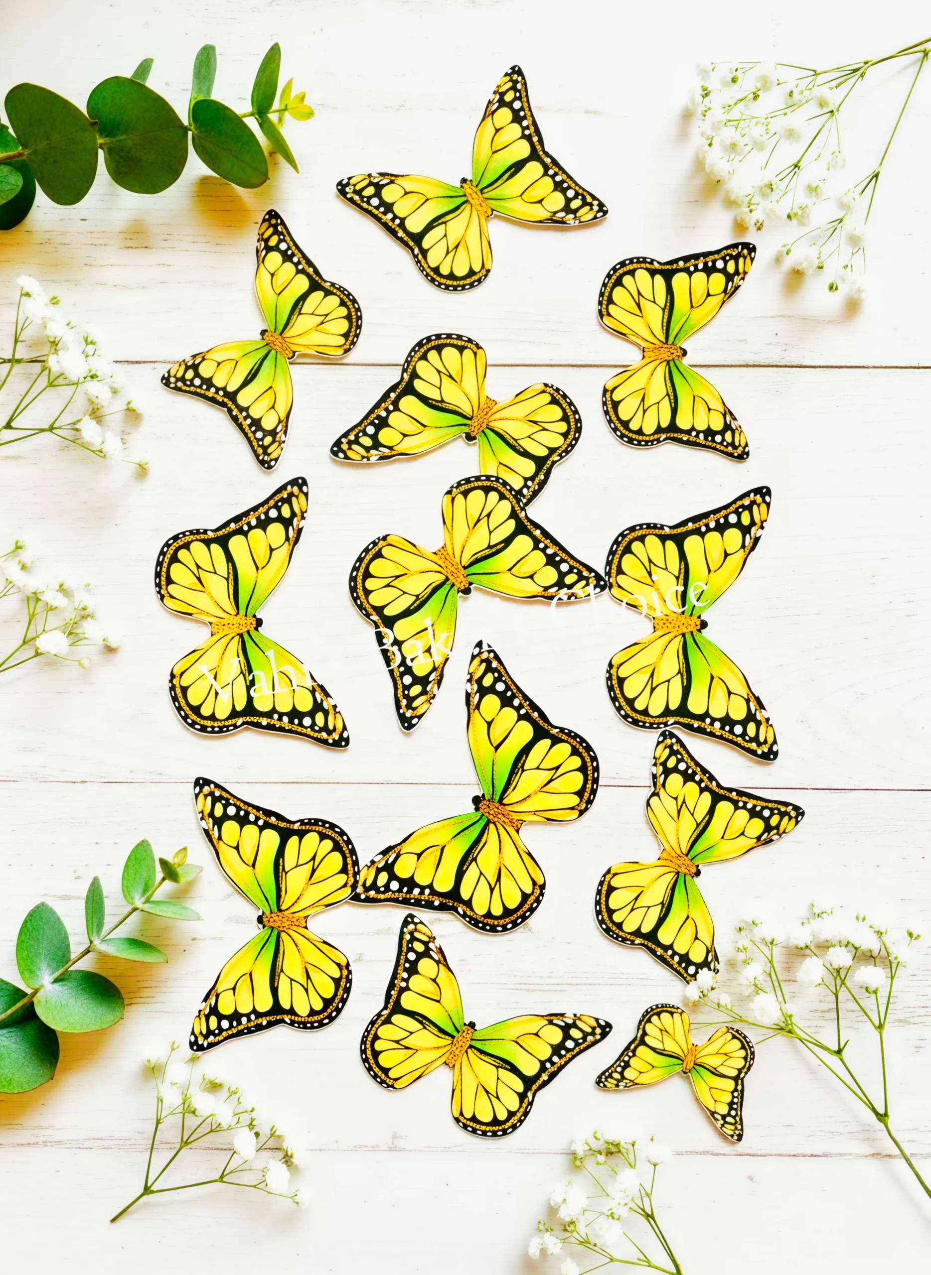 Top Paper Butterfly D5 Multi Size