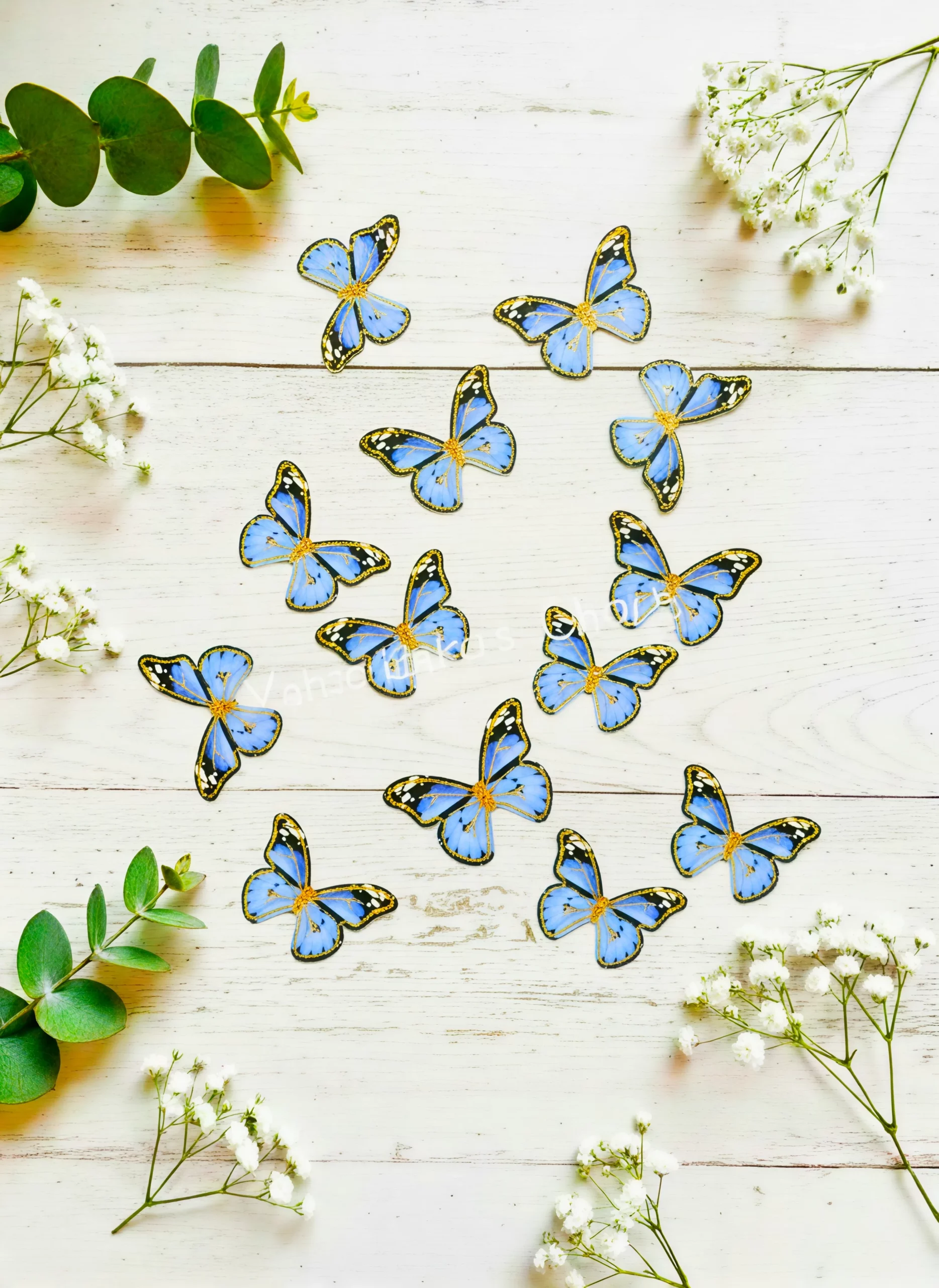 Top Paper Butterfly D6 Multi Size