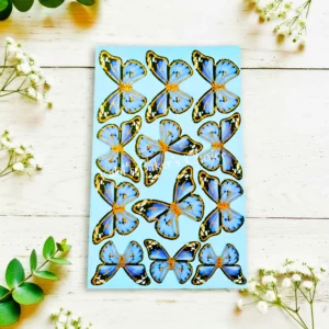 Top Paper Butterfly D6 Multi Size