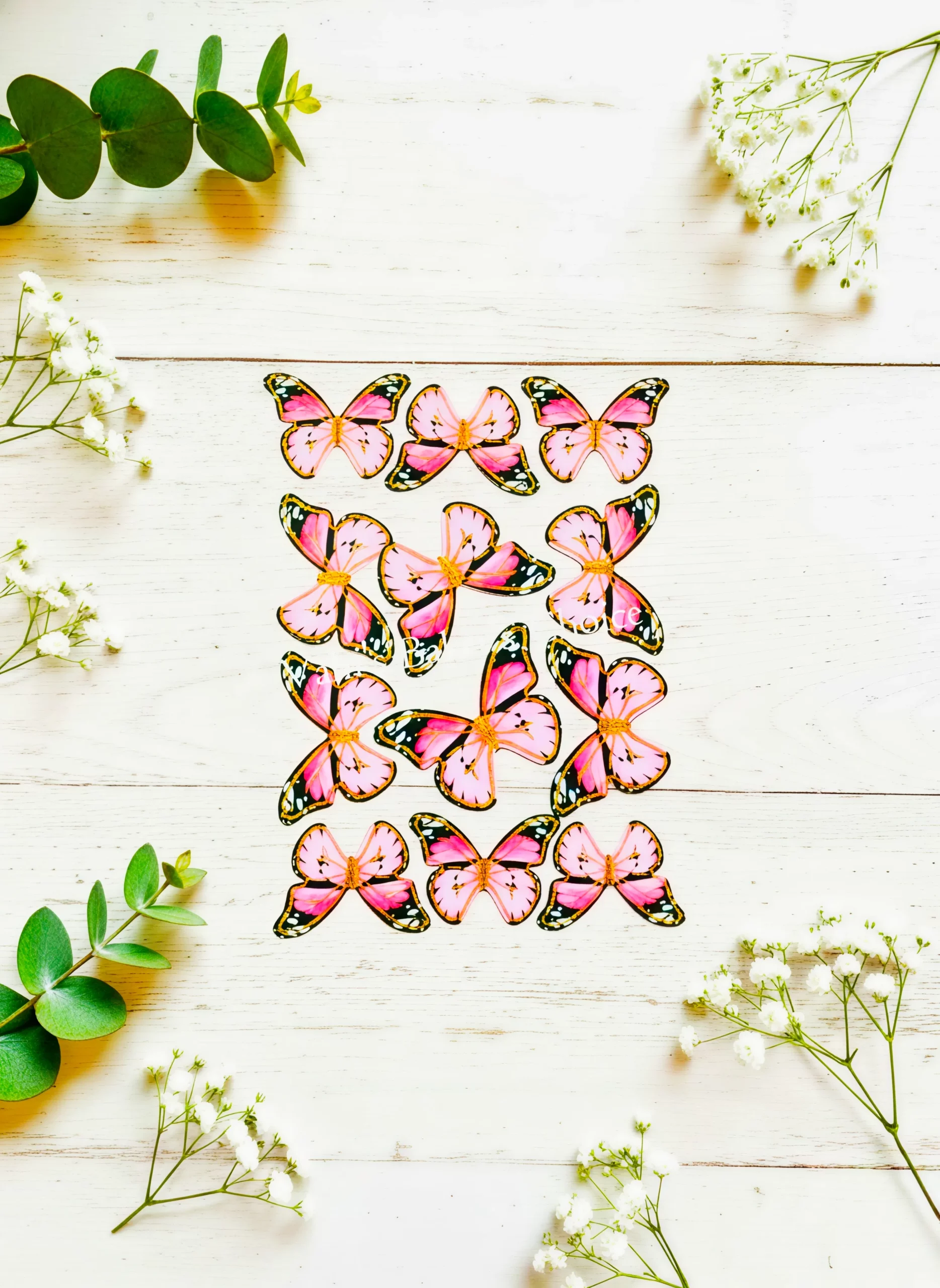 Top Paper Butterfly D7 Multi Size