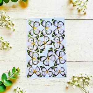 Top Paper Butterfly D8 Multi Size