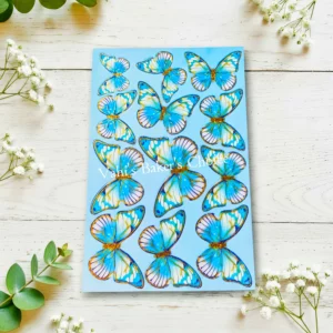 Top Paper Butterfly D9 Multi Size