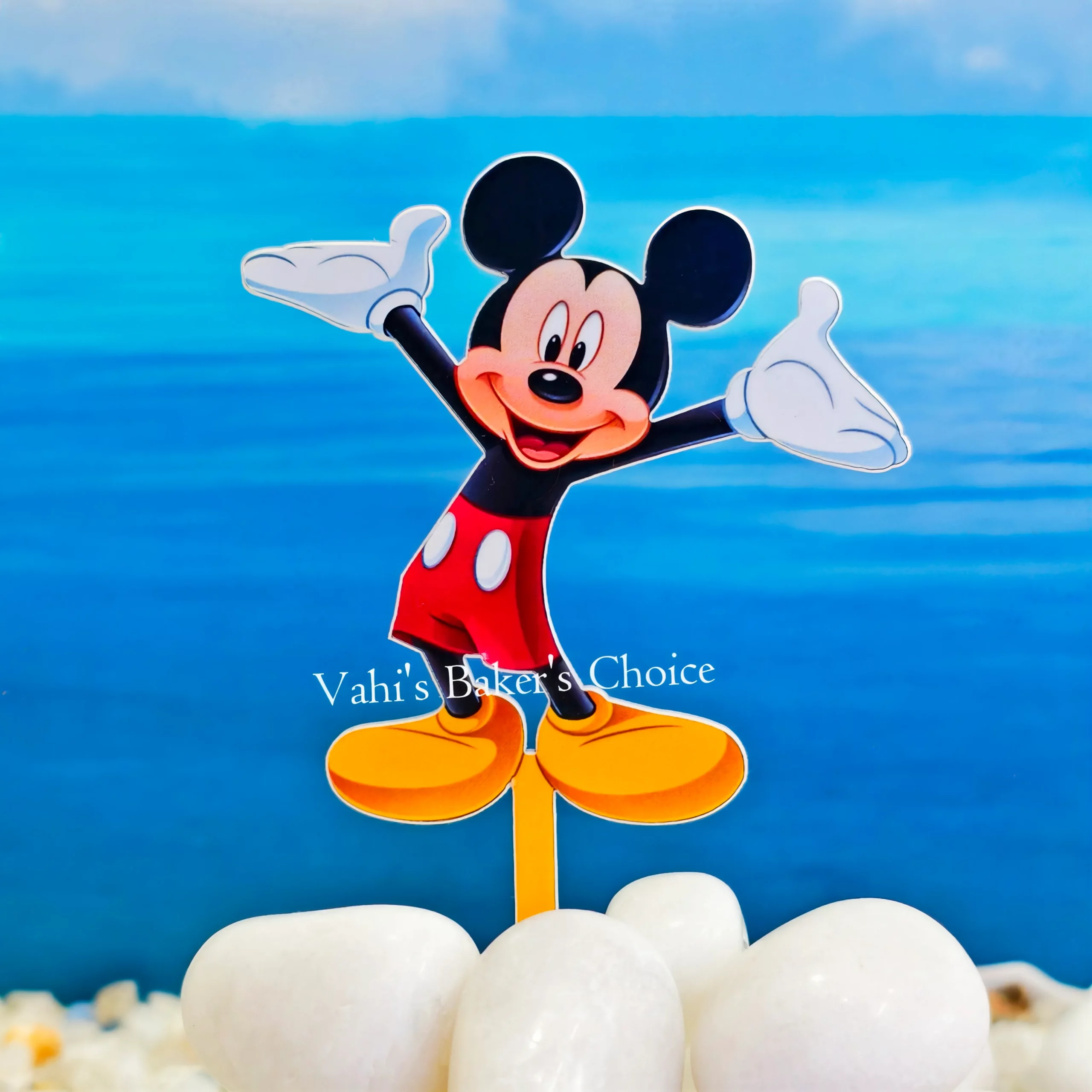 Top Mickey Mouse Colour D20