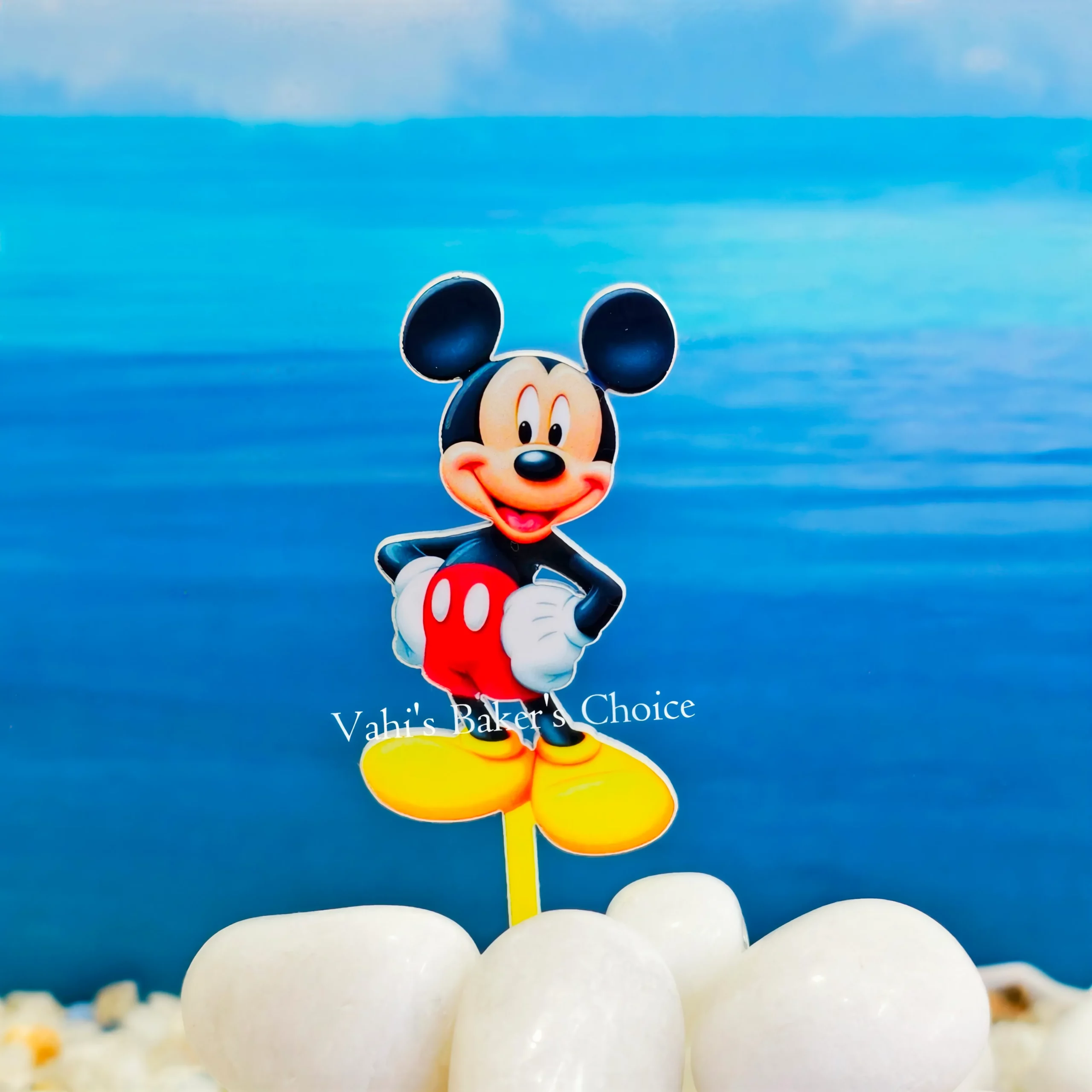 Top Mickey Mouse Colour D22