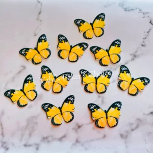Top Paper Butterfly D5