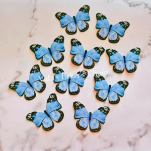 Top Paper Butterfly D6