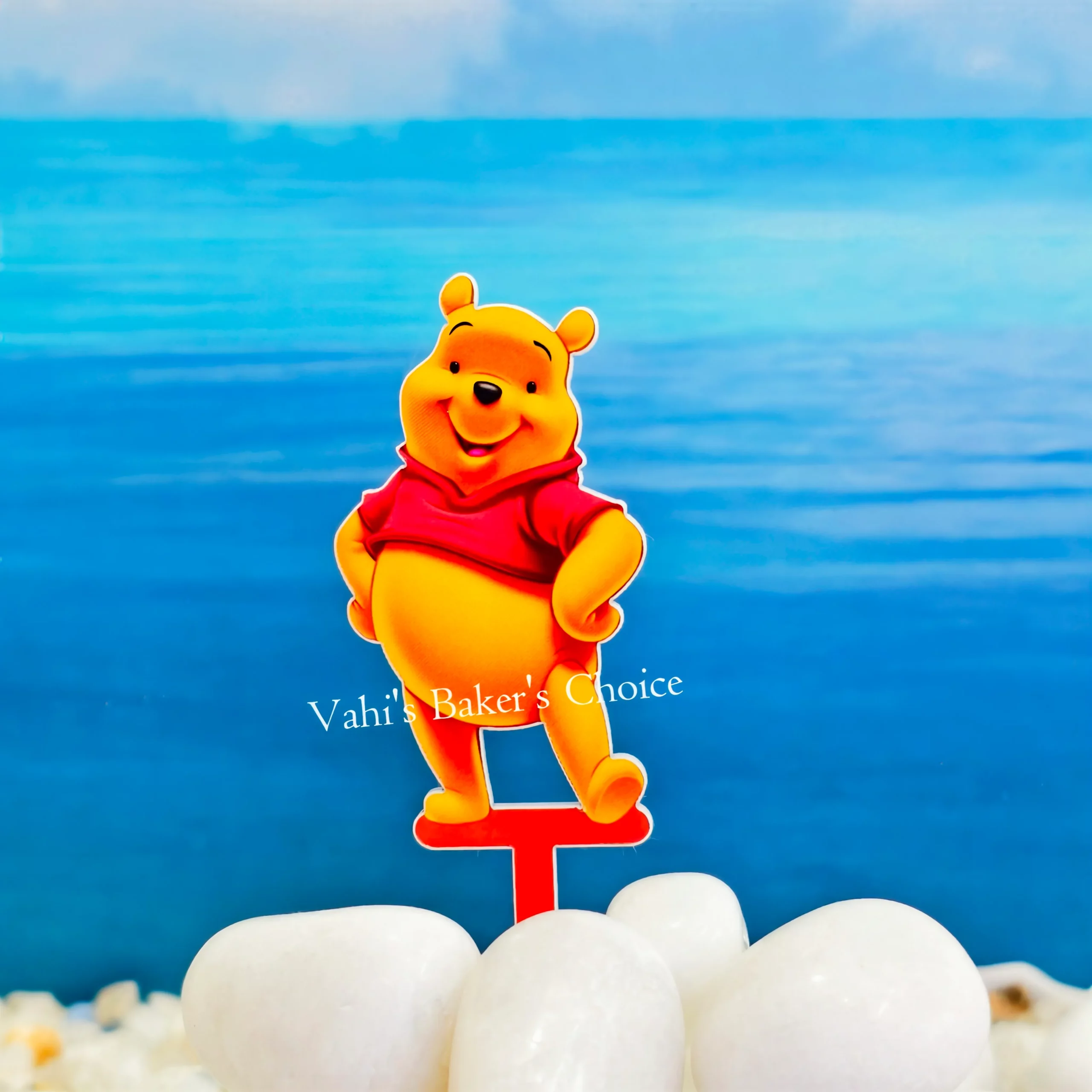 Top Pooh Colour D05