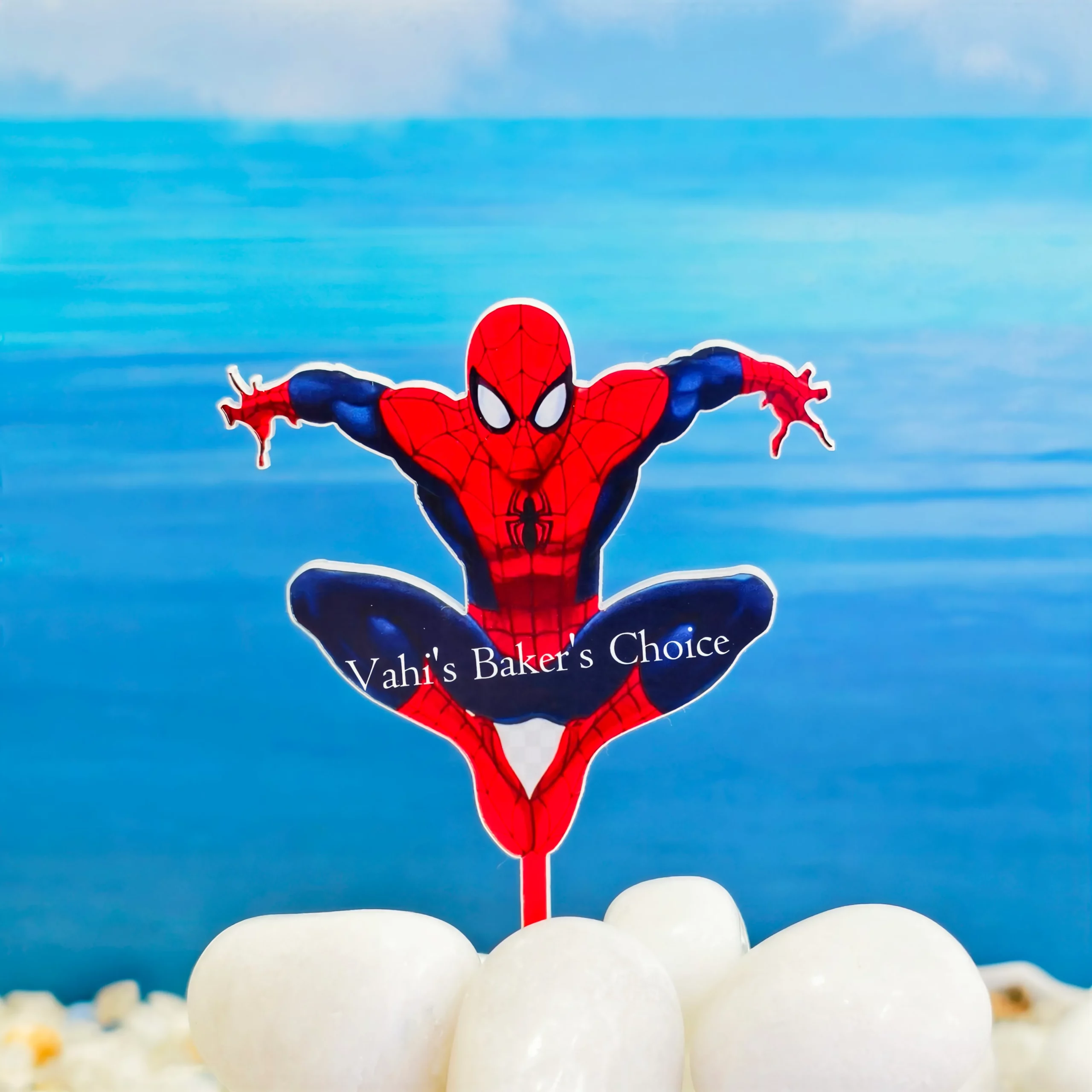 Top Spider Man Colour D20