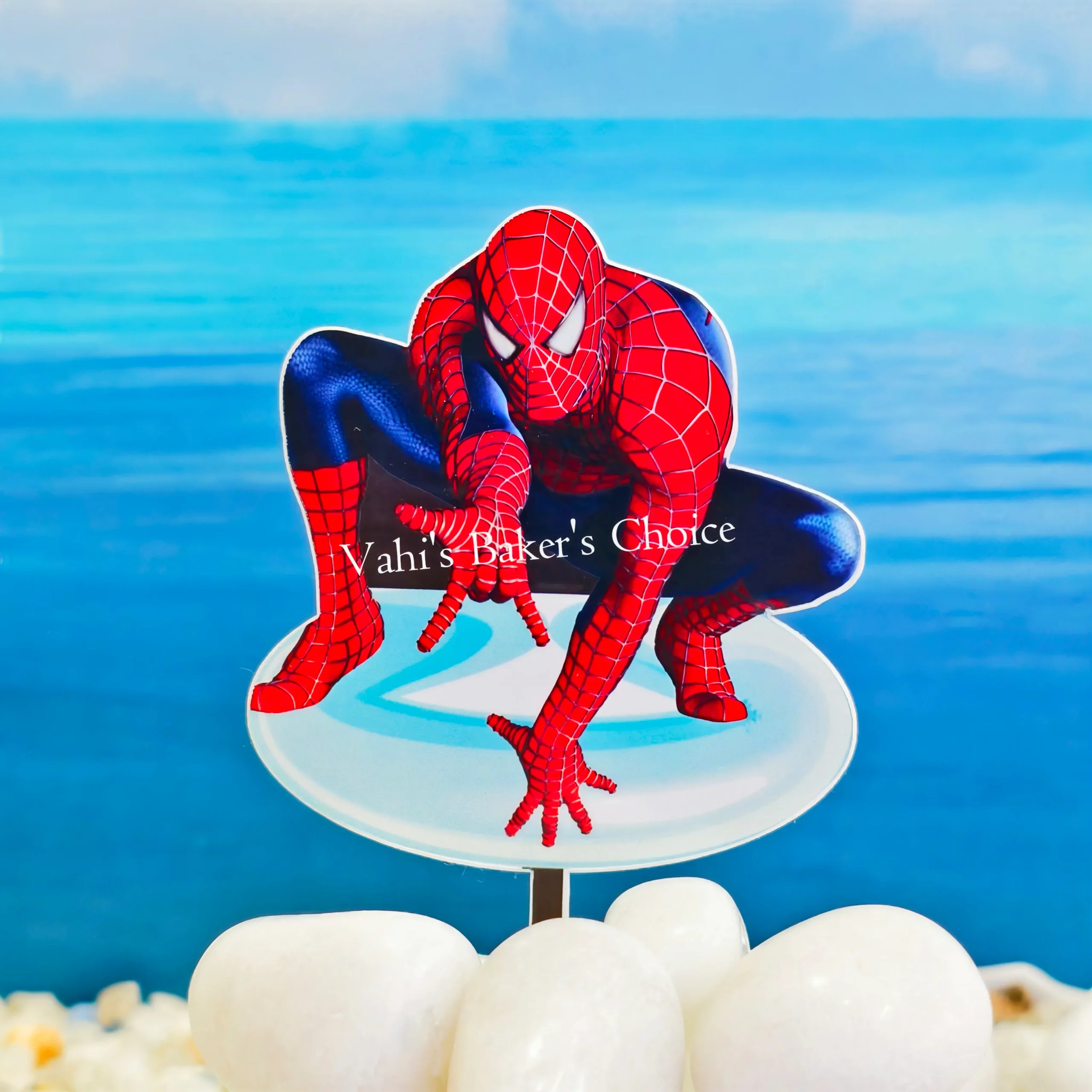 Top Spider Man Colour D23