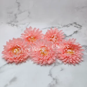 FL 10 cm Pastel Pink Chrysanthemum Head