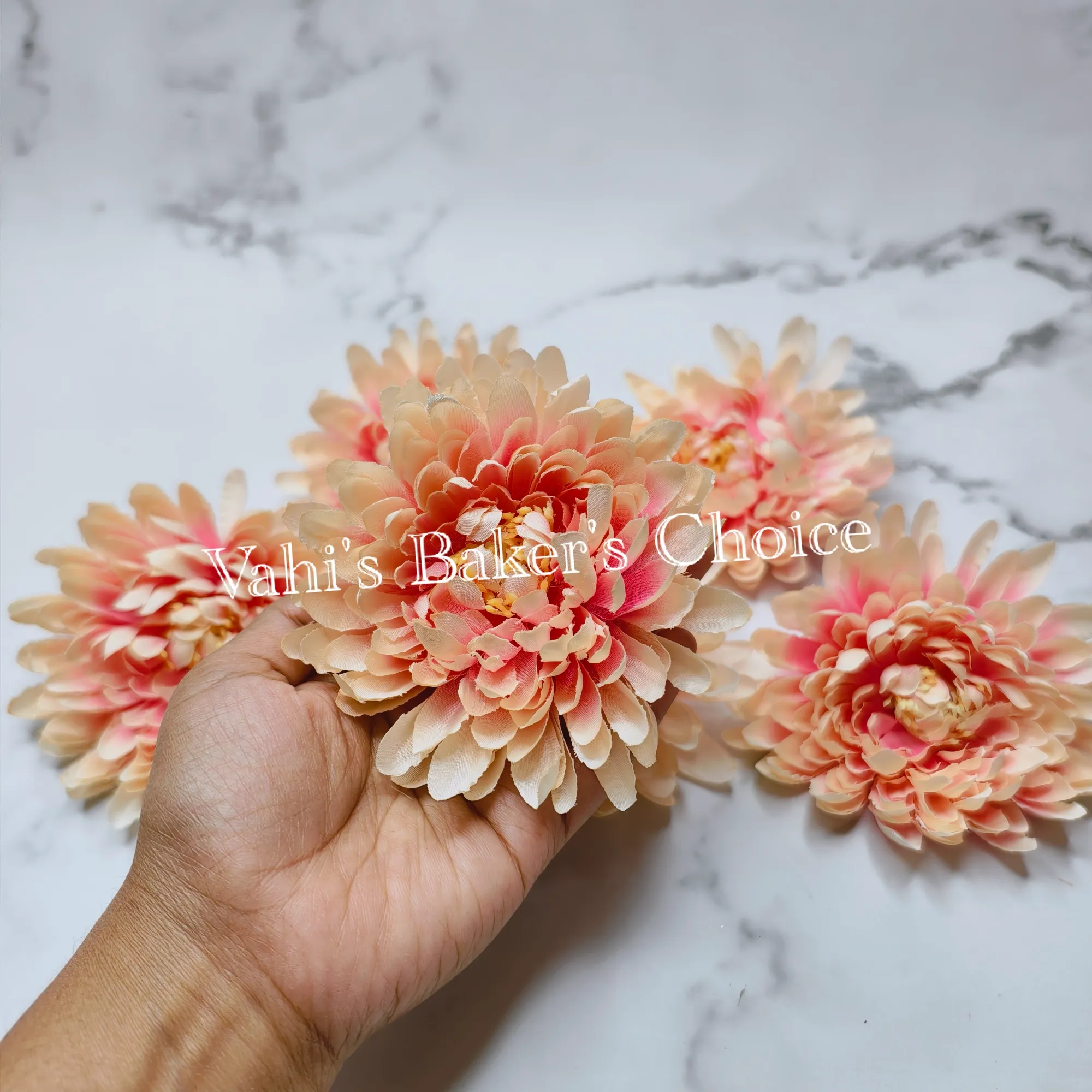 FL 10 cm Shaded Peach Chrysanthemum Head