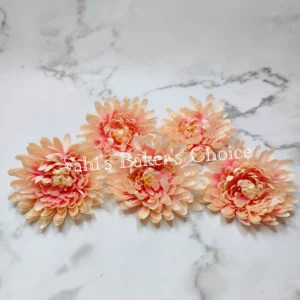 FL 10 cm Shaded Peach Chrysanthemum Head