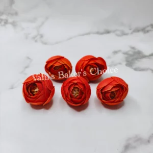 FL 4 cm Orange Peony Bud