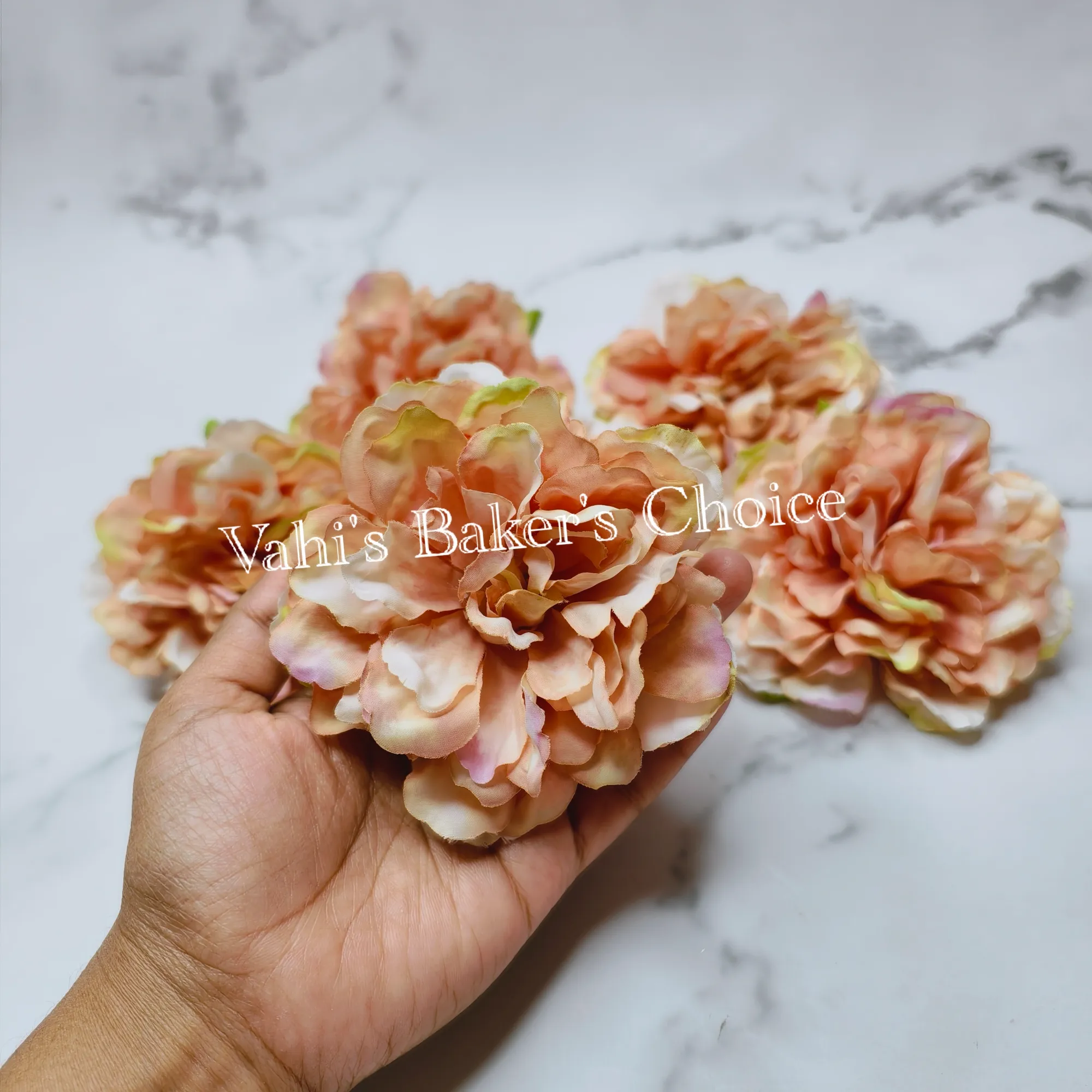 FL 9 cm Shaded Peach Peony Head