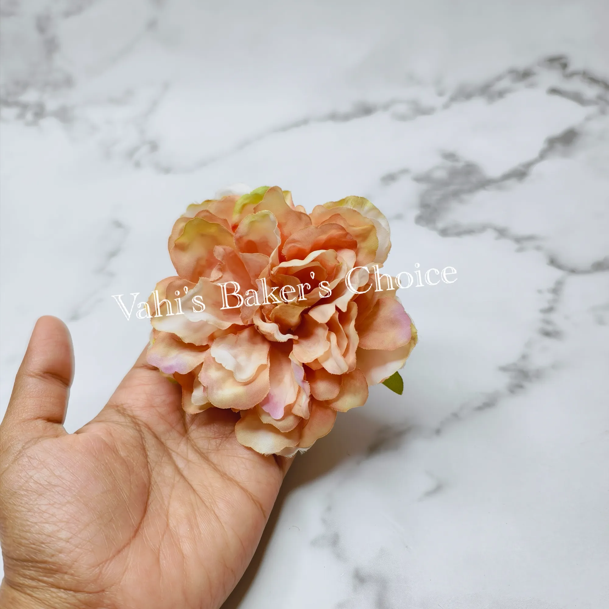 FL 9 cm Shaded Peach Peony Head