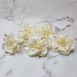 FL 9 cm White Peony Head