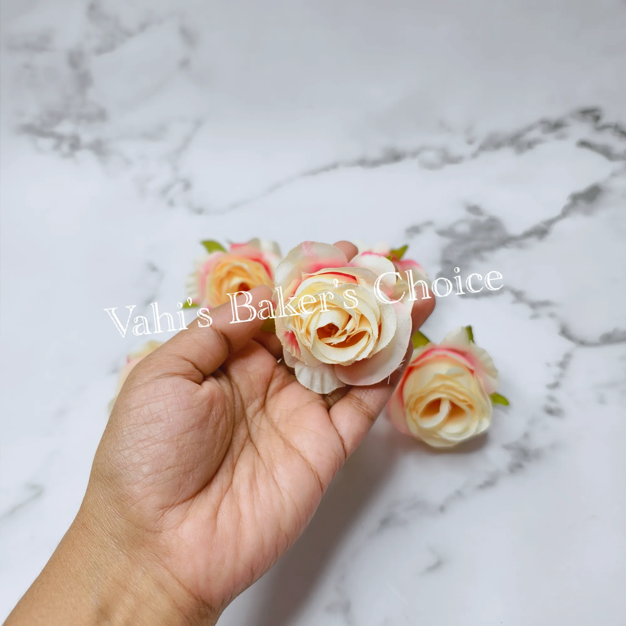 FL Shaded Cream 5 cm Rose Head