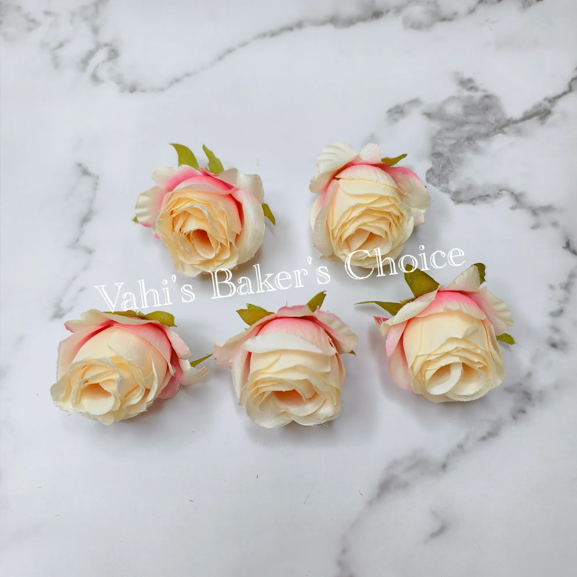 FL Shaded Cream 5 cm Rose Head