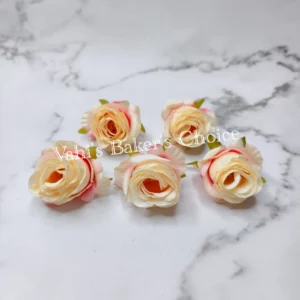 FL Shaded Cream 5 cm Rose Head