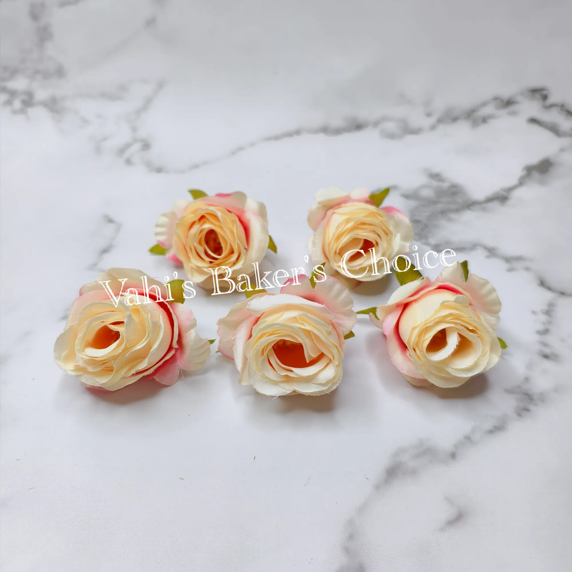 FL Shaded Cream 5 cm Rose Head