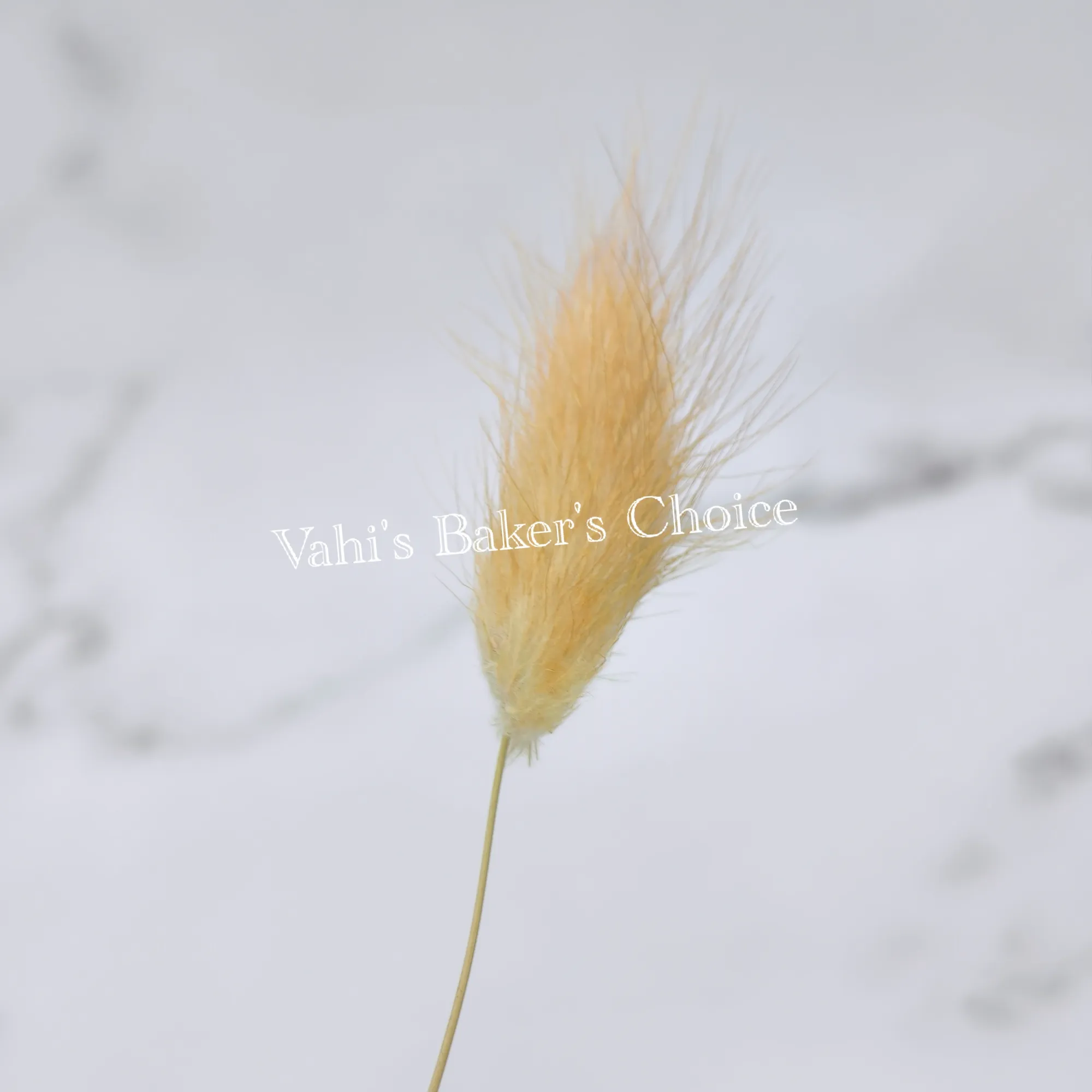 Multi Bunny Tails Brown
