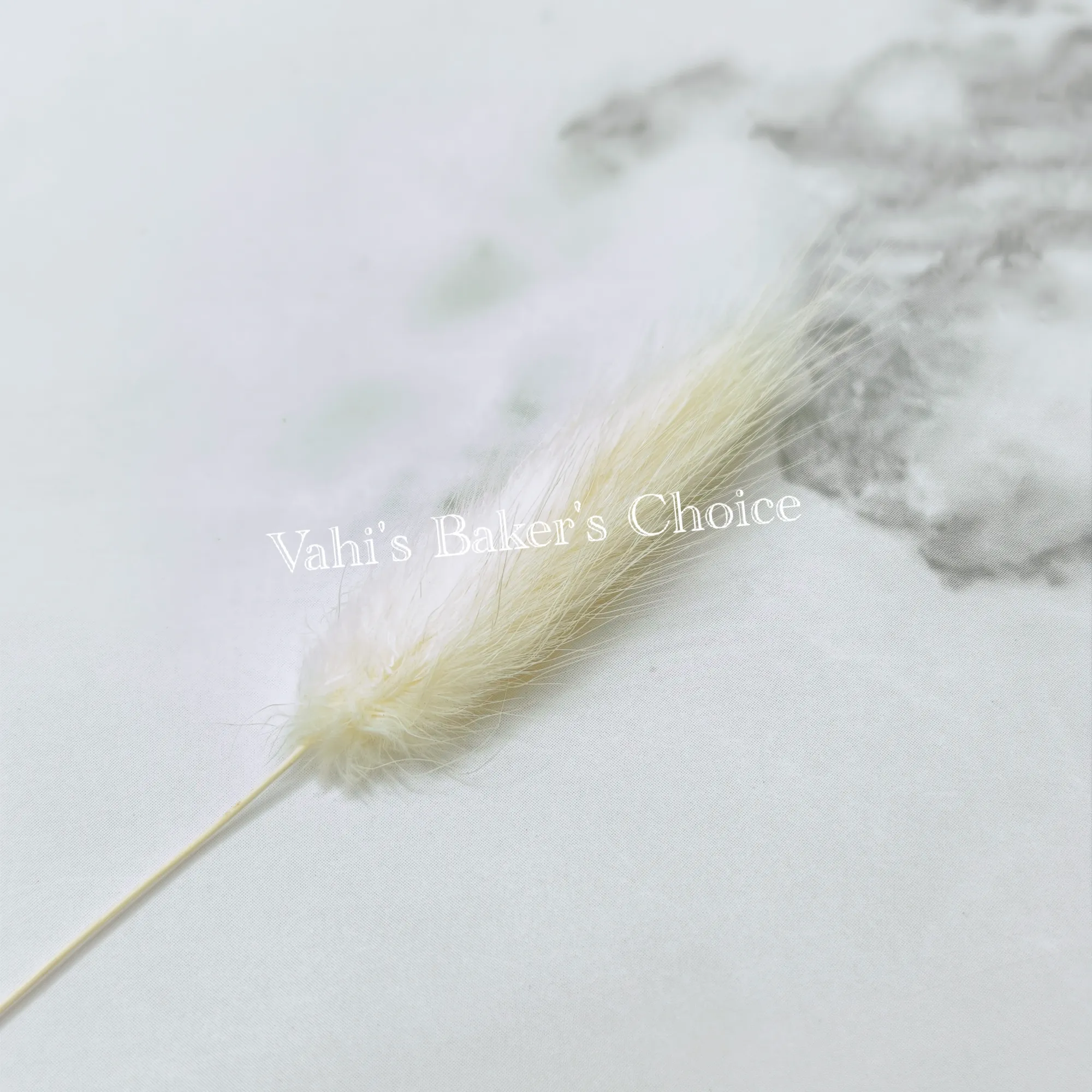 Multi Bunny Tails Cream