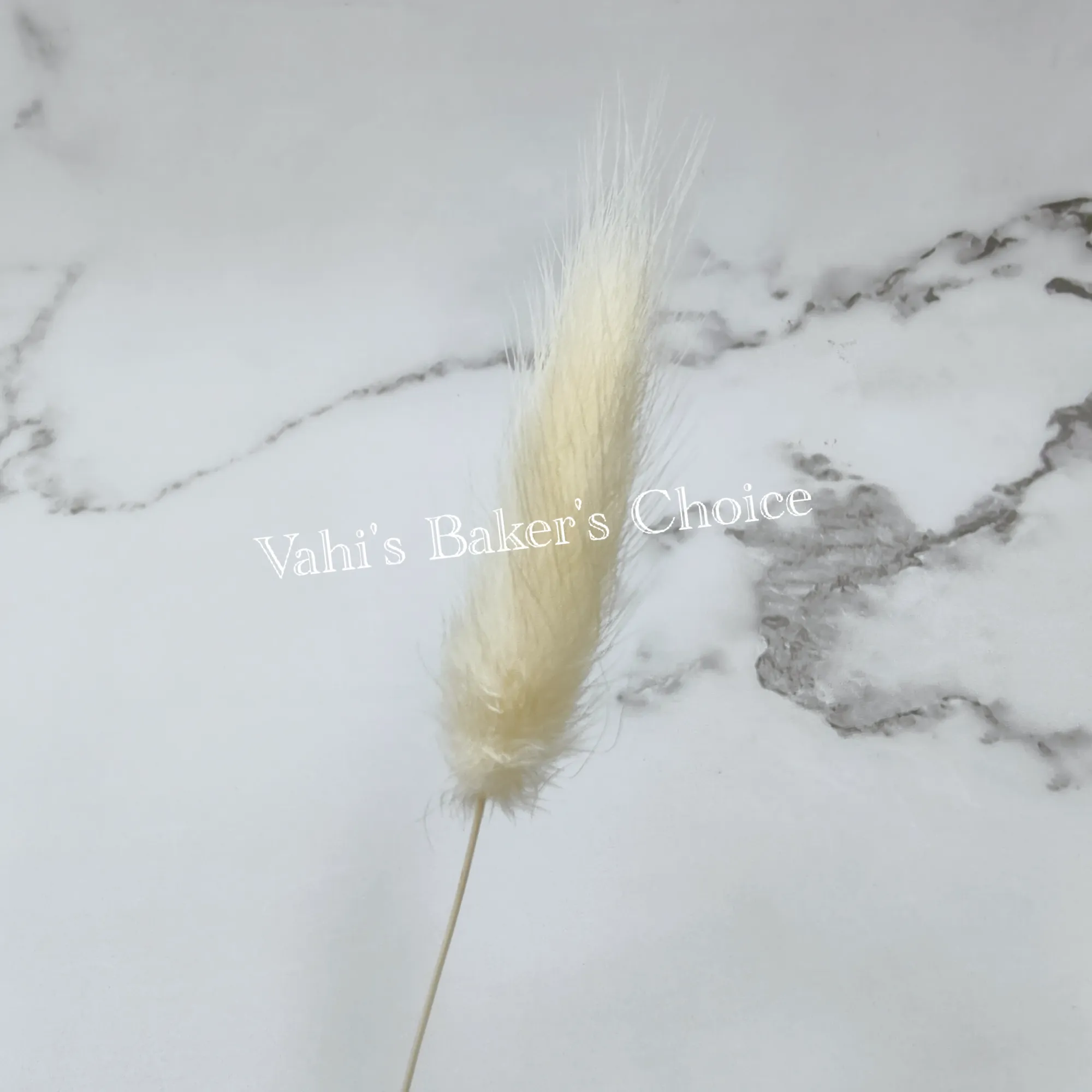 Multi Bunny Tails Cream